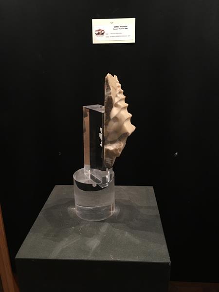 11° PREMIO di SCULTURA e ARTI PLASTICHE 